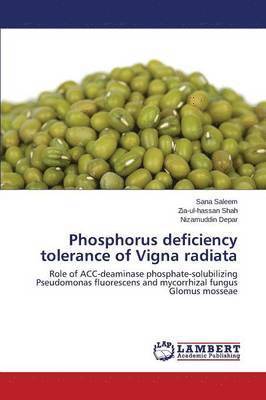 bokomslag Phosphorus deficiency tolerance of Vigna radiata