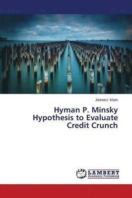 bokomslag Hyman P. Minsky Hypothesis to Evaluate Credit Crunch