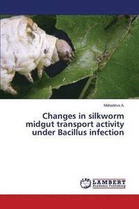 bokomslag Changes in Silkworm Midgut Transport Activity Under Bacillus Infection