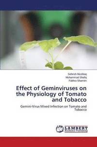 bokomslag Effect of Geminviruses on the Physiology of Tomato and Tobacco