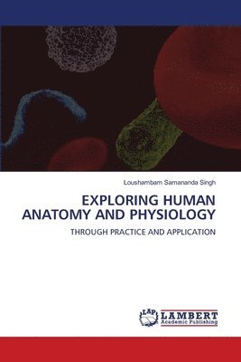 bokomslag Exploring Human Anatomy and Physiology