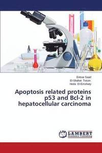 bokomslag Apoptosis related proteins p53 and Bcl-2 in hepatocellular carcinoma