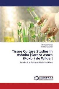 bokomslag Tissue Culture Studies In Ashoka [Saraca asoca (Roxb.) de Wilde.]