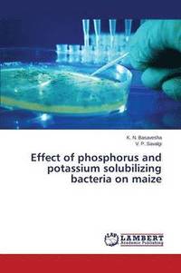 bokomslag Effect of phosphorus and potassium solubilizing bacteria on maize