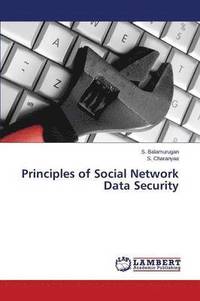 bokomslag Principles of Social Network Data Security