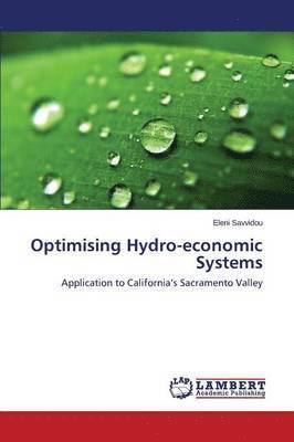 Optimising Hydro-economic Systems 1