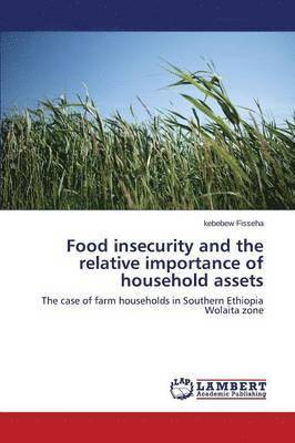 bokomslag Food insecurity and the relative importance of household assets
