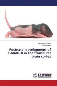 bokomslag Postnatal development of GABAB-R in the frontal rat brain cortex