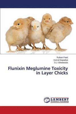 Flunixin Meglumine Toxicity in Layer Chicks 1