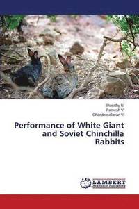 bokomslag Performance of White Giant and Soviet Chinchilla Rabbits