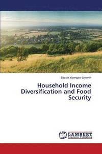bokomslag Household Income Diversification and Food Security