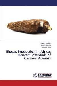 bokomslag Biogas Production in Africa