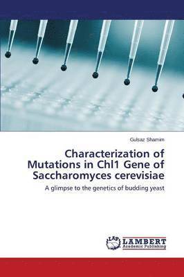 Characterization of Mutations in Chl1 Gene of Saccharomyces cerevisiae 1