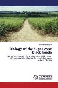 bokomslag Biology of the sugar cane black beetle