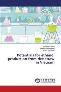 bokomslag Potentials for ethanol production from rice straw in Vietnam