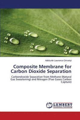 Composite Membrane for Carbon Dioxide Separation 1