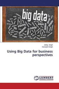 bokomslag Using Big Data for business perspectives