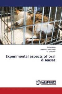 bokomslag Experimental aspects of oral diseases