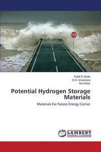 bokomslag Potential Hydrogen Storage Materials