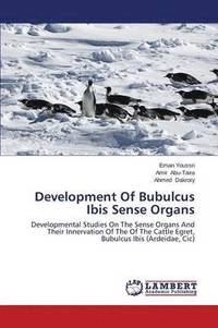 bokomslag Development Of Bubulcus Ibis Sense Organs