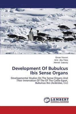 Development Of Bubulcus Ibis Sense Organs 1