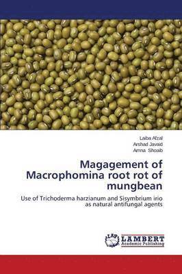 Magagement of Macrophomina root rot of mungbean 1