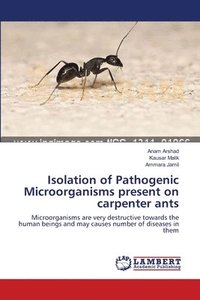 bokomslag Isolation of Pathogenic Microorganisms present on carpenter ants