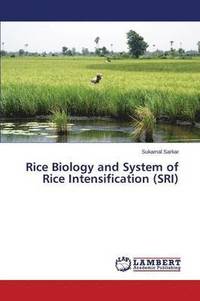 bokomslag Rice Biology and System of Rice Intensification (SRI)