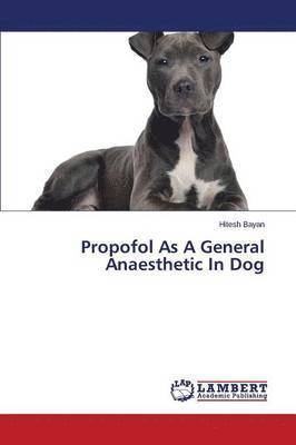 Propofol As A General Anaesthetic In Dog 1