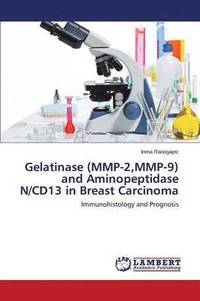bokomslag Gelatinase (MMP-2, MMP-9) and Aminopeptidase N/CD13 in Breast Carcinoma
