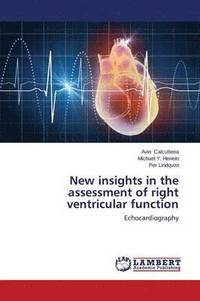 bokomslag New insights in the assessment of right ventricular function