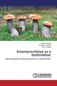 bokomslag Ectomycorrhizae as a biofertelizer