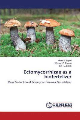 Ectomycorrhizae as a biofertelizer 1