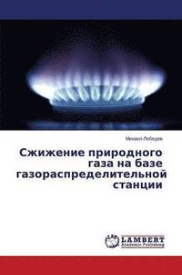 bokomslag Szhizhenie prirodnogo gaza na baze gazoraspredelitel'noy stantsii