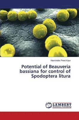 Potential of Beauveria bassiana for control of Spodoptera litura 1