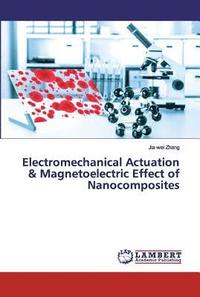 bokomslag Multi-functional Nanocomposites for the Energy Conversion