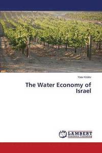 bokomslag The Water Economy of Israel