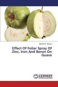 bokomslag Effect Of Foliar Spray Of Zinc, Iron And Boron On Guava
