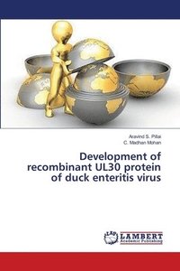 bokomslag Development of recombinant UL30 protein of duck enteritis virus