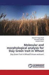 bokomslag Molecular and morphological analysis for Stay Green trait in Wheat