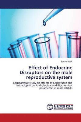bokomslag Effect of Endocrine Disruptors on the male reproductive system