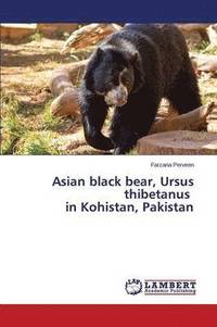 bokomslag Asian black bear, Ursus thibetanus in Kohistan, Pakistan