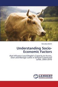 bokomslag Understanding Socio-Economic Factors