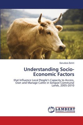 Understanding Socio-Economic Factors 1