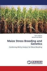 bokomslag Maize Stress Breeding and Genetics