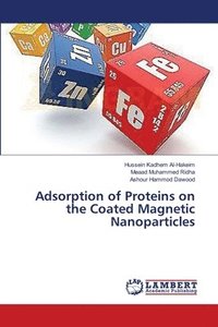 bokomslag Adsorption of Proteins on the Coated Magnetic Nanoparticles