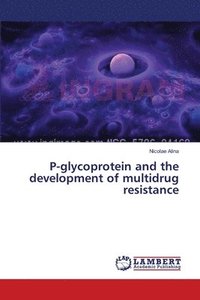bokomslag P-glycoprotein and the development of multidrug resistance