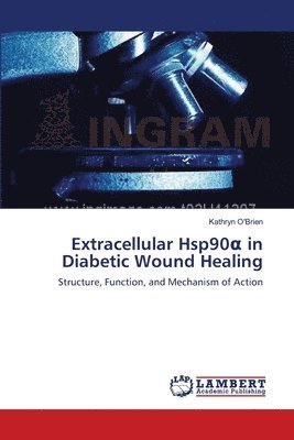 bokomslag Extracellular Hsp90&#945; in Diabetic Wound Healing