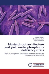 bokomslag Mustard root architecture and yield under phosphorus deficiency stress