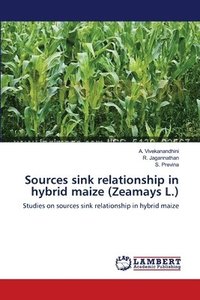 bokomslag Sources sink relationship in hybrid maize (Zeamays L.)